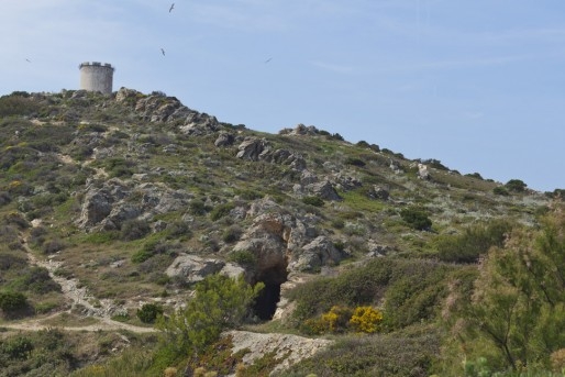 Ile des Embiez - Six-Fours-les-Plages