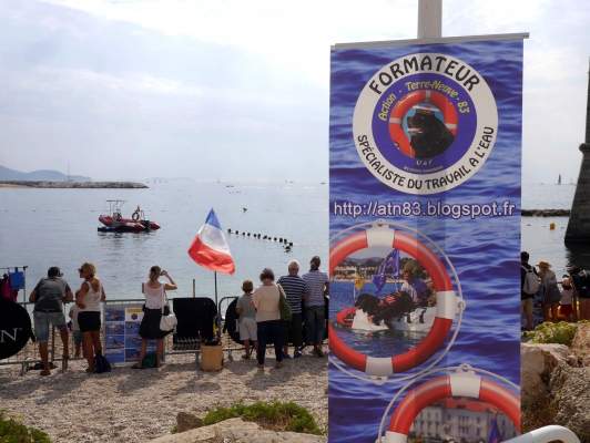 Démonstration de chiens sauveteurs en mer au fort Saint-Louis