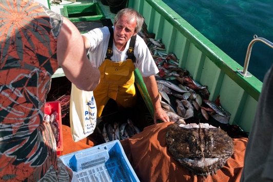 Vente directe de poisson - Port du Niel