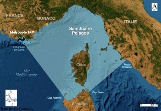 Carte du périmètre Pelagos