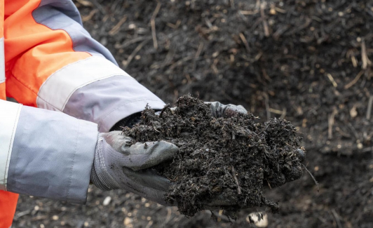 et le sapin devient compost