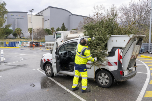 ramassage sapin de noël