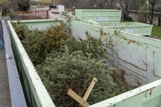 Le sapin, un déchet vert valorisable