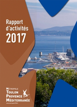 Rapport d'activités TPM 2017