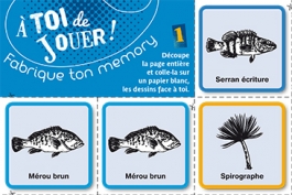 Memory jeux