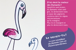 Jeu Mini Mag N°15