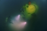 HROV Ariane, le nouveau sous-marin hybride de l'Ifremer © O.Dugornay