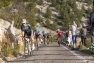 Les coureurs du Tour du Haut-Var dans la montée du Faron