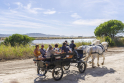 Fête des Salins 2022 Fête des Salins 2022