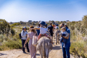 Fête des Salins d'Hyères Fête des Salins d'Hyères