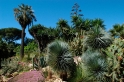 Jardin Olbius Riquier Hyères