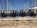 Nurserie à poissons de l'entreprise Seaboost, démarche Ports Propres, port de Porquerolles à Hyères Nurserie à poissons de l'entreprise Seaboost, démarche Ports Propres, port de Porquerolles à Hyères